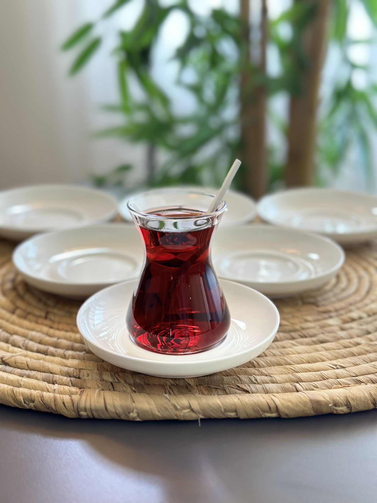 ARİA COLLECTİON CAY TABAĞI SERVİS